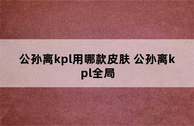 公孙离kpl用哪款皮肤 公孙离kpl全局